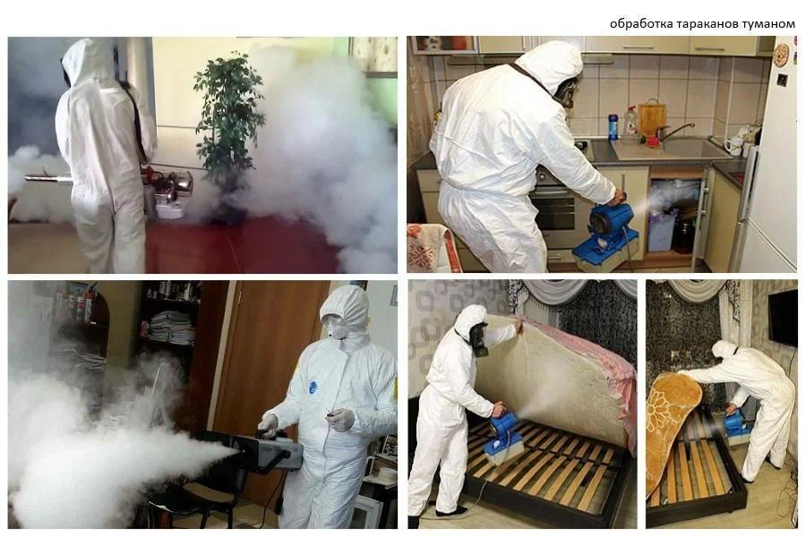 افضل شركة مكافحة و ابادة حفار الخشب